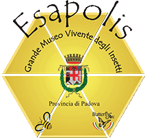 esapolis-museum-aracne-project