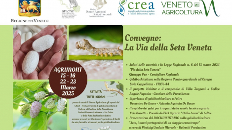 Locandina fiera di Longarone