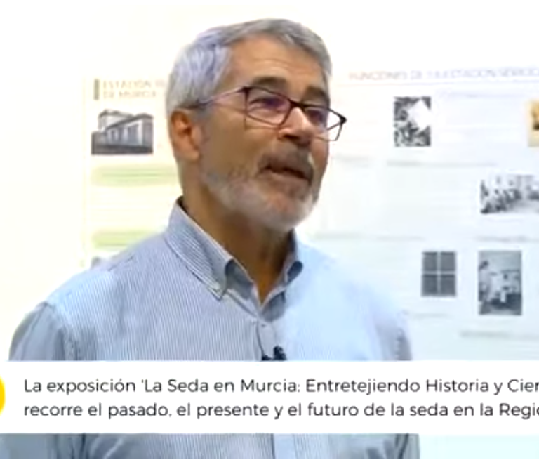 En Origen Popular TV JL