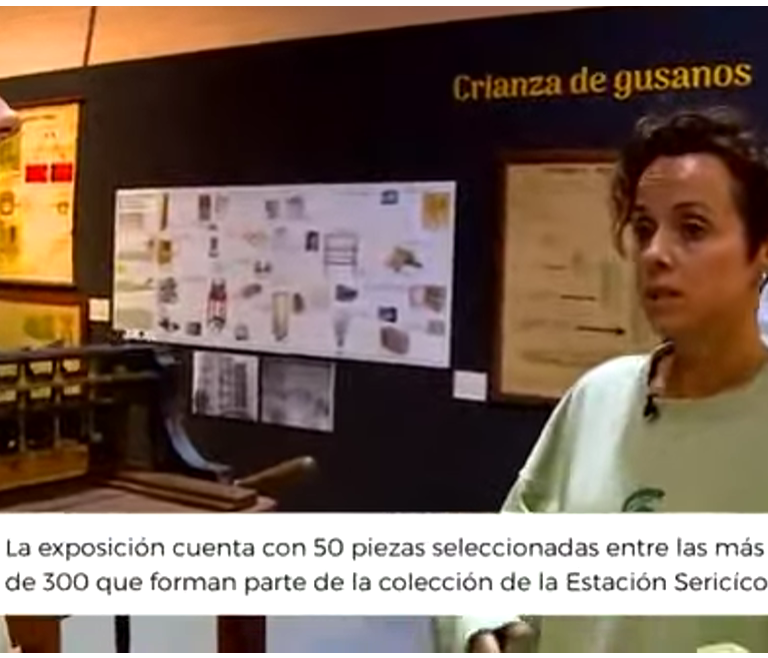 En Origen Popular TV Marta