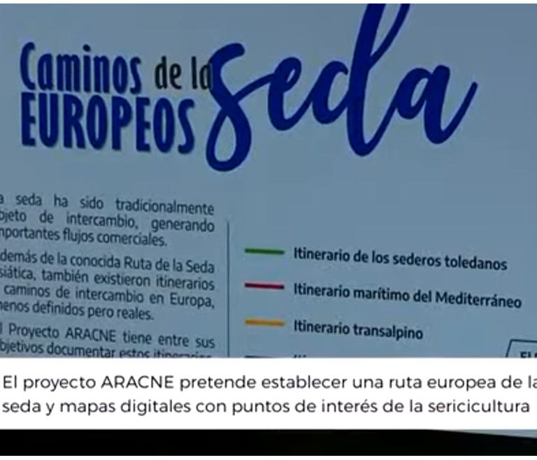 En Origen Popular TV aracne