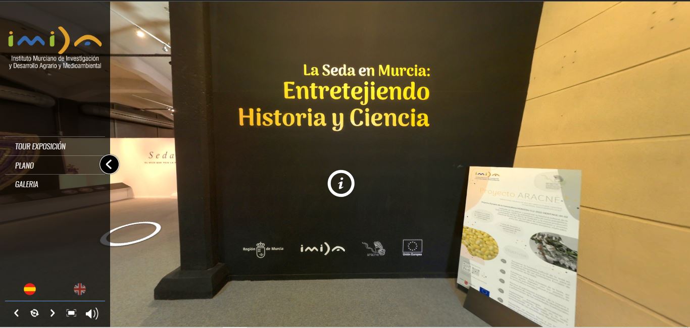 imida news copertina