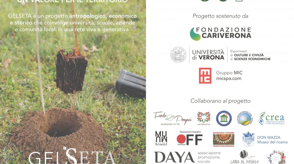 Cartolina_compressed_Pagina_2