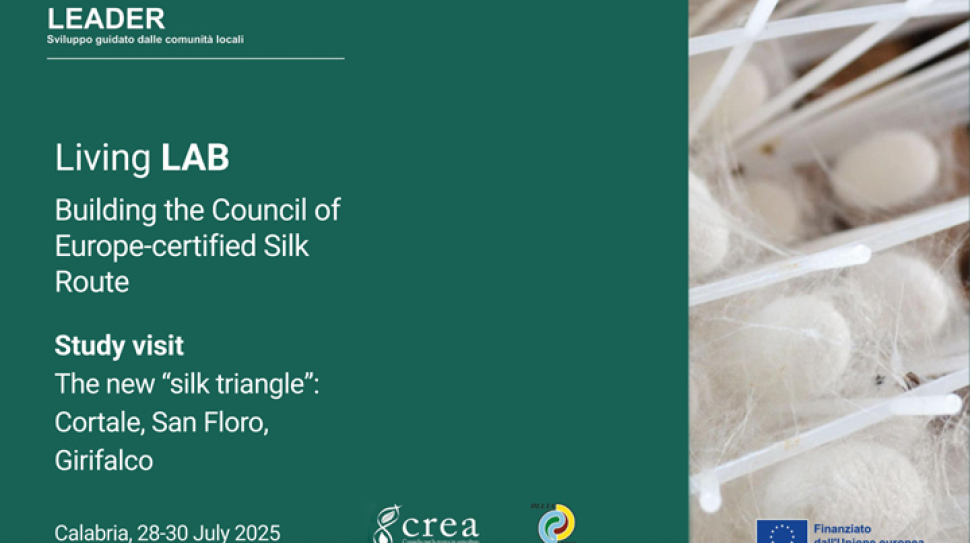copertina news calabria