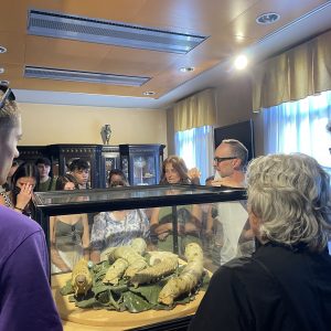 IMG_6904