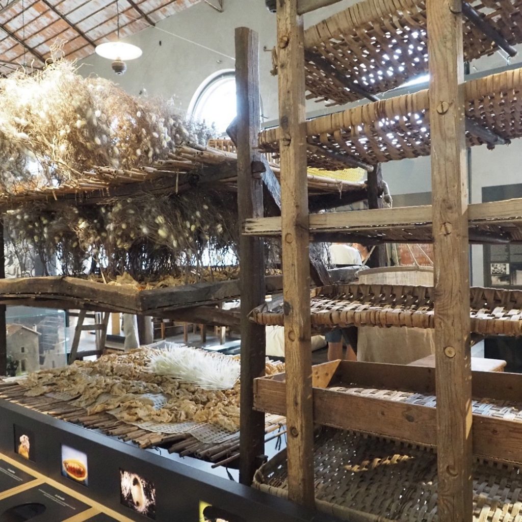 Silkworm rearing exhibition.
