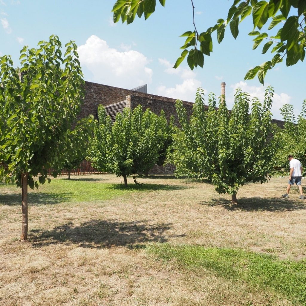 Maison Rouge mulberry garden.