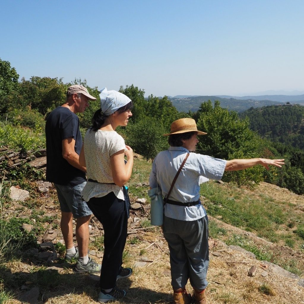 View over the terraced mulberry orchard with curator, Anya Cockle-Betian.