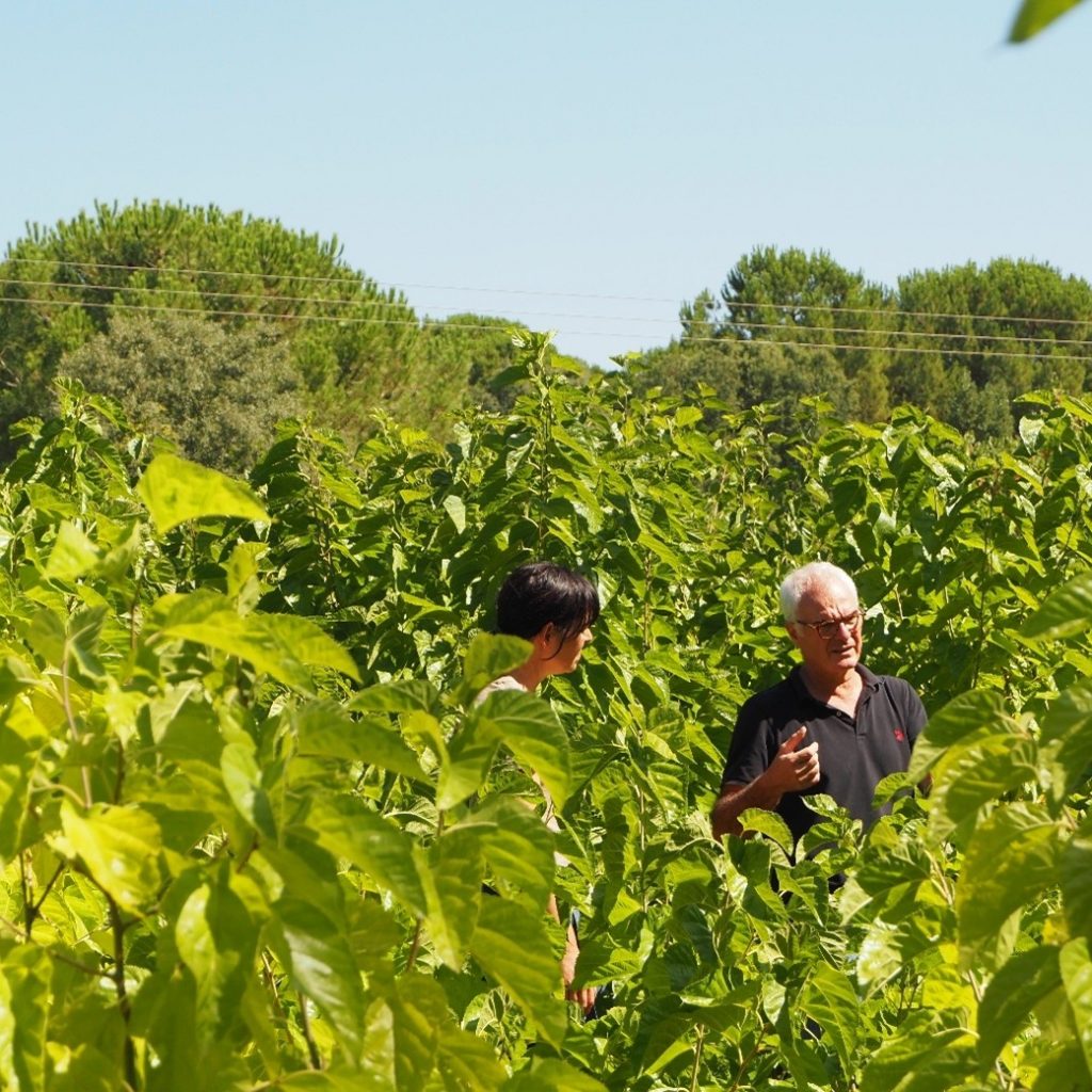 Frédéric Viatge explaining the maintaining and cultivation practices of mulberry plantation.