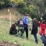 WhatsApp Image 2025-11-24 at 09.43.52