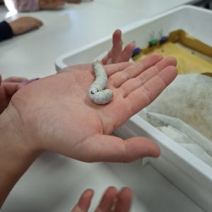 WhatsApp Image 2025-11-28 at 12.33.27 (1)