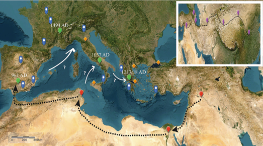 Screenshot 2026-02-16 103830