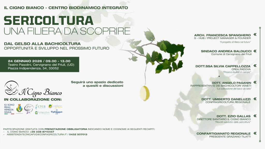 locandina cervignano friuli