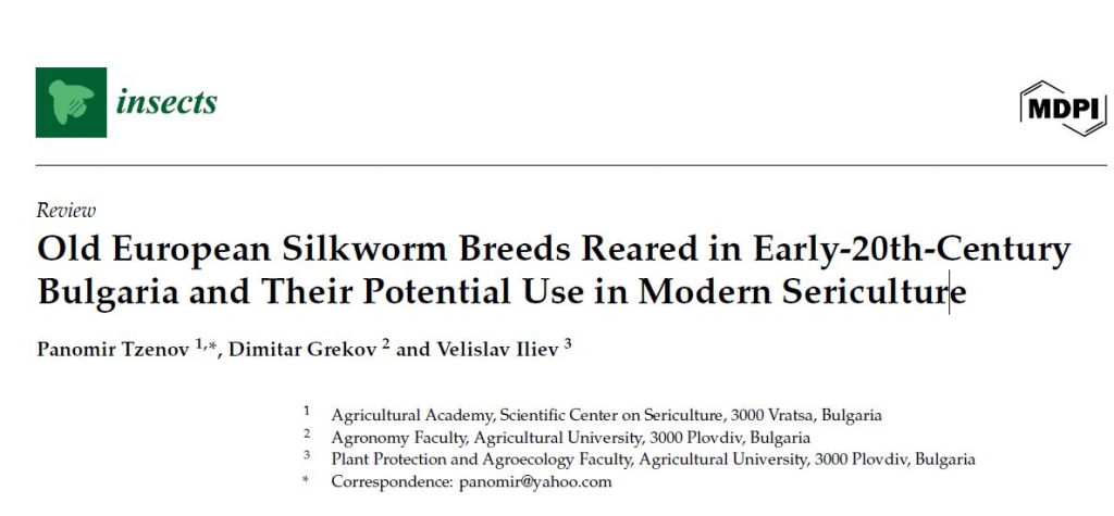 news publication panomir