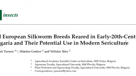 news publication panomir