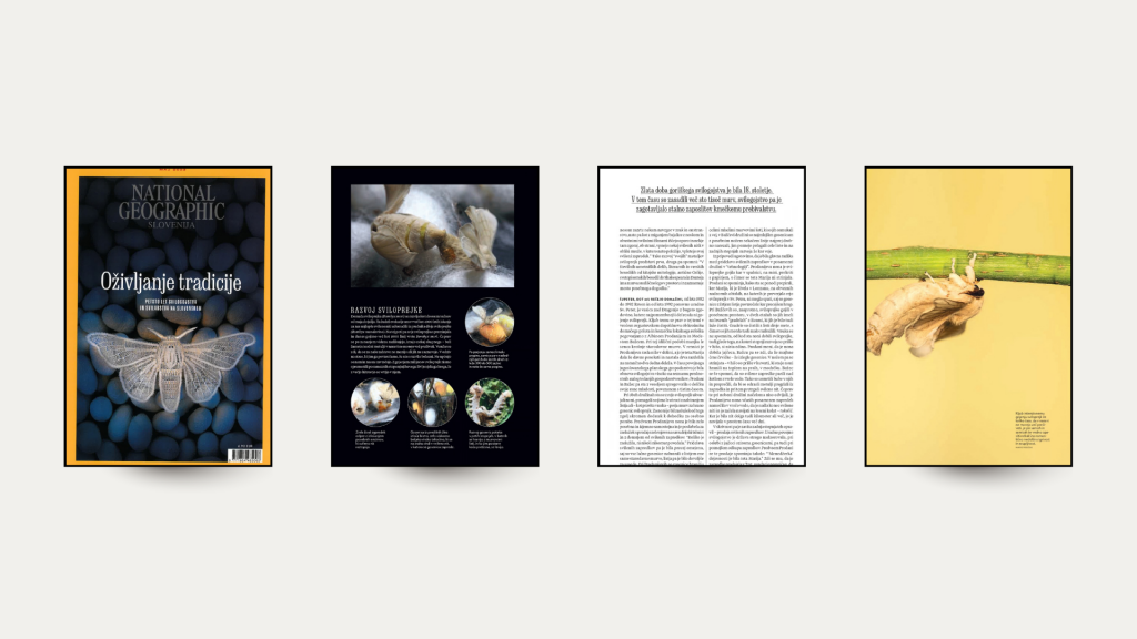 Immagini Sito Web (13)