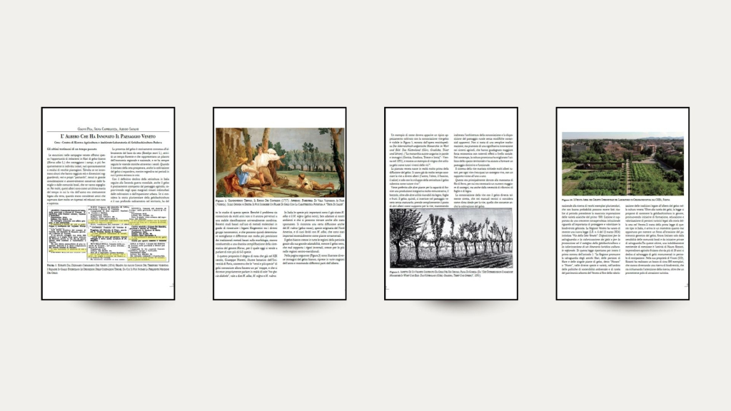 Immagini Sito Web (19)